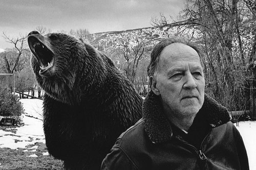 Grizzly Man Werner Herzog